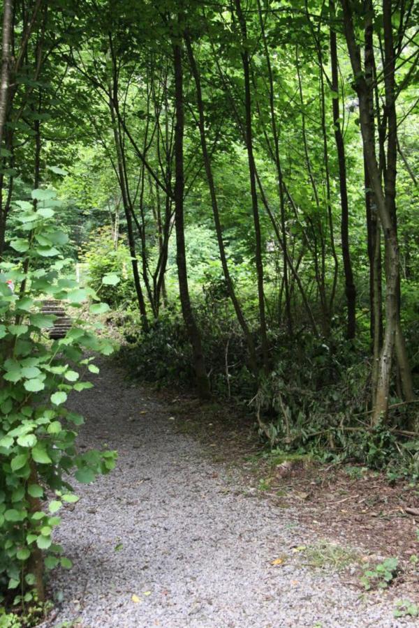 Het Uilennest In Durbuy Villa Exteriör bild