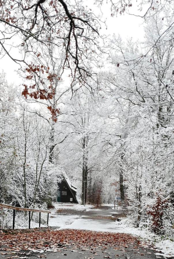 Het Uilennest In Durbuy Villa Exteriör bild